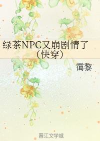 ̲NPCֱˣ촩