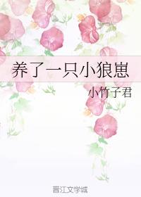 һֻС
