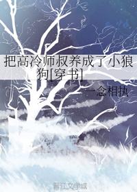 ѸʦСǹ[]