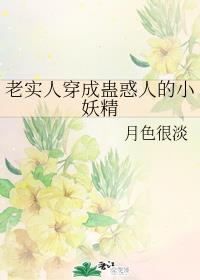 ʵ˴ɹƻ˵С