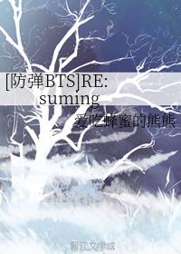 [BTS]RE:suming