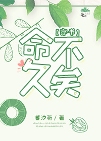 �����飩��������