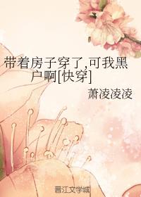 ŷӴ,Һڻ[촩]