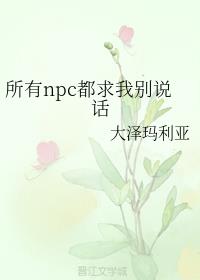 npcұ˵