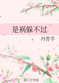 ǻ㲻